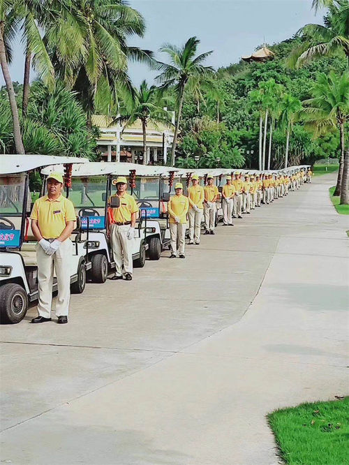 Τελευταίες εταιρικές ειδήσεις για Τα Πολυδιάστατα Οχήματα Περιήγησης 8-14 Θέσεων